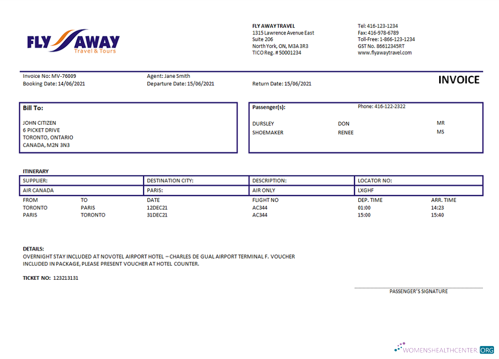Download USA Fly Away Travel agency invoice Photoshop template